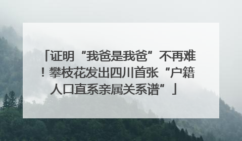 证明“我爸是我爸”不再难！攀枝花发出四川首张“户籍人口直系亲属关系谱”