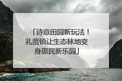 诗意田园新玩法！礼贤镇让生态林地变身惠民新乐园