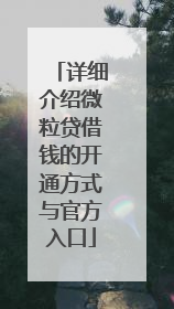 详细介绍微粒贷借钱的开通方式与官方入口