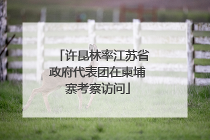 许昆林率江苏省政府代表团在柬埔寨考察访问