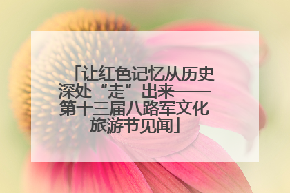 让红色记忆从历史深处“走”出来——第十三届八路军文化旅游节见闻