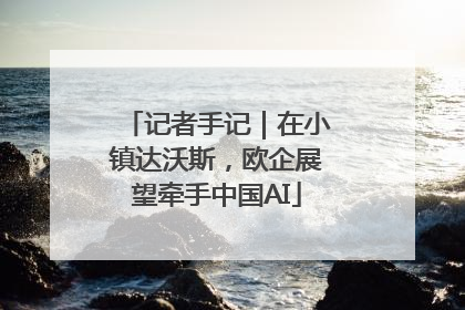 记者手记｜在小镇达沃斯，欧企展望牵手中国AI