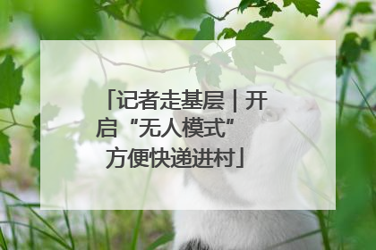 记者走基层｜开启“无人模式” 方便快递进村