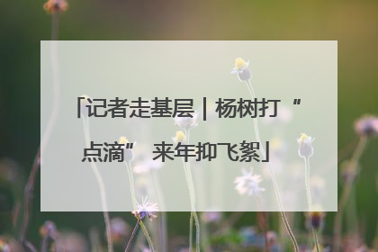 记者走基层｜杨树打“点滴” 来年抑飞絮