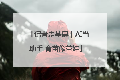 记者走基层｜AI当助手 育苗像带娃