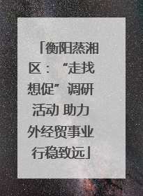 衡阳蒸湘区：“走找想促”调研活动 助力外经贸事业行稳致远