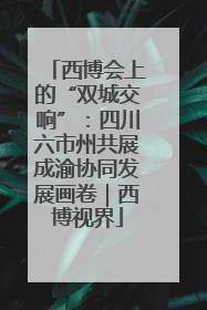 西博会上的“双城交响”：四川六市州共展成渝协同发展画卷｜西博视界