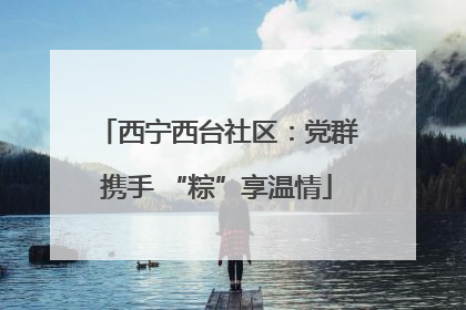 西宁西台社区：党群携手 “粽”享温情
