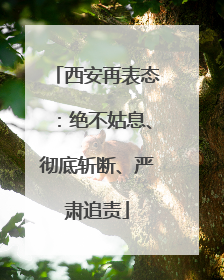 西安再表态：绝不姑息、彻底斩断、严肃追责