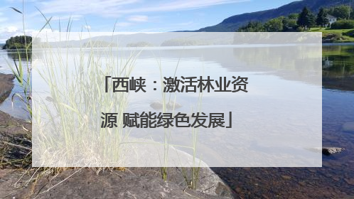 西峡：激活林业资源 赋能绿色发展