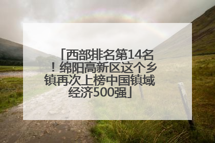 西部排名第14名！绵阳高新区这个乡镇再次上榜中国镇域经济500强