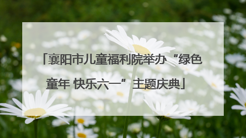 襄阳市儿童福利院举办“绿色童年 快乐六一”主题庆典
