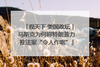 观天下·美国政坛｜马斯克为何称特朗普力推法案“令人作呕”