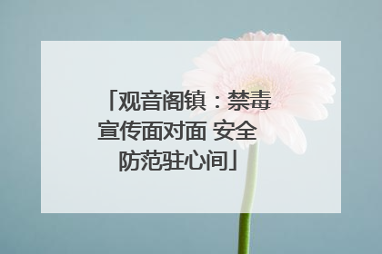 观音阁镇：禁毒宣传面对面 安全防范驻心间