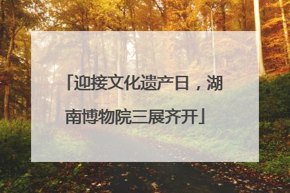 迎接文化遗产日，湖南博物院三展齐开