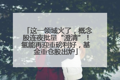 这一领域火了，概念股连夜批量“澄清”！氢能再迎重磅利好，基金重仓股出炉