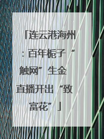 连云港海州：百年栀子“触网”生金 直播开出“致富花”