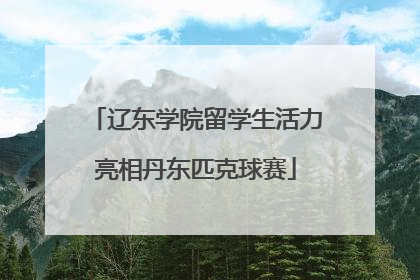 辽东学院留学生活力亮相丹东匹克球赛