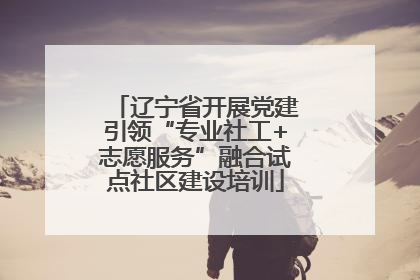辽宁省开展党建引领“专业社工+志愿服务”融合试点社区建设培训