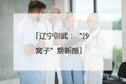 辽宁彰武：“沙窝子”焕新颜