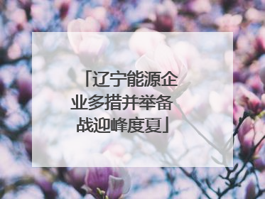 辽宁能源企业多措并举备战迎峰度夏