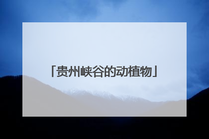 贵州峡谷的动植物