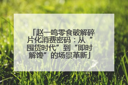 赵一鸣零食破解碎片化消费密码：从“囤货时代”到“即时解馋”的场景革新