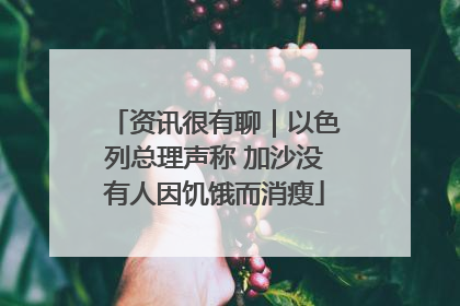 资讯很有聊｜以色列总理声称 加沙没有人因饥饿而消瘦
