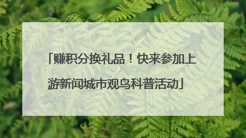 赚积分换礼品！快来参加上游新闻城市观鸟科普活动