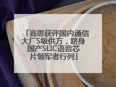 赛思获评国内通信大厂S级供方，跻身国产SLIC语音芯片领军者行列