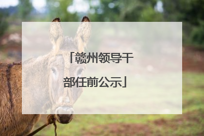 赣州领导干部任前公示