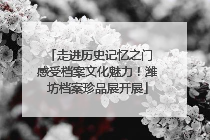 走进历史记忆之门 感受档案文化魅力！潍坊档案珍品展开展