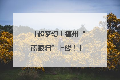 超梦幻！福州“蓝眼泪”上线！