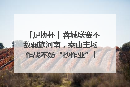 足协杯｜蓉城联赛不敌弱旅河南，泰山主场作战不妨“抄作业”