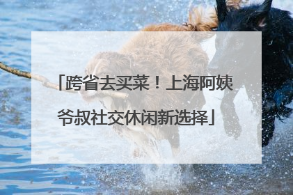 跨省去买菜！上海阿姨爷叔社交休闲新选择