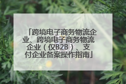 跨境电子商务物流企业、跨境电子商务物流企业（仅B2B）、支付企业备案操作指南