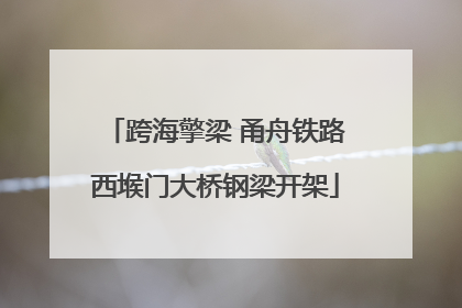 跨海擎梁 甬舟铁路西堠门大桥钢梁开架