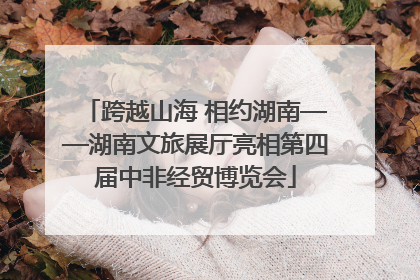 跨越山海 相约湖南——湖南文旅展厅亮相第四届中非经贸博览会