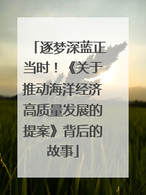 逐梦深蓝正当时！《关于推动海洋经济高质量发展的提案》背后的故事