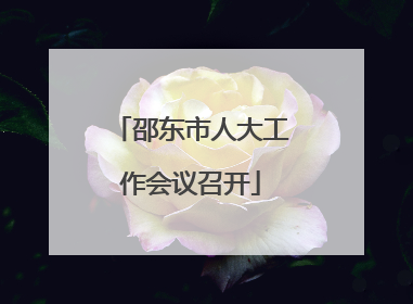 邵东市人大工作会议召开