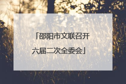 邵阳市文联召开六届二次全委会