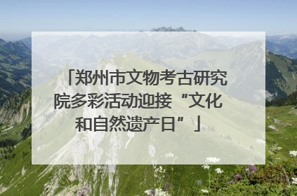 郑州市文物考古研究院多彩活动迎接“文化和自然遗产日”