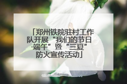 郑州铁院驻村工作队开展“我们的节日·端午”暨“三夏”防火宣传活动