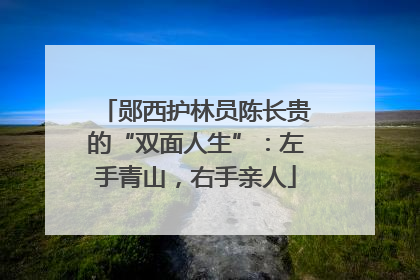 郧西护林员陈长贵的“双面人生”：左手青山，右手亲人