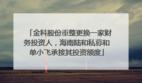 金科股份重整更换一家财务投资人，海南陆和私募和单小飞承接其投资额度