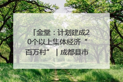 金堂：计划建成20个以上集体经济“百万村”｜成都县市新城高质量发展