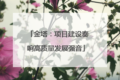 金塔：项目建设奏响高质量发展强音