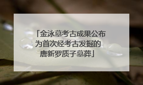 金泳墓考古成果公布 为首次经考古发掘的唐新罗质子墓葬