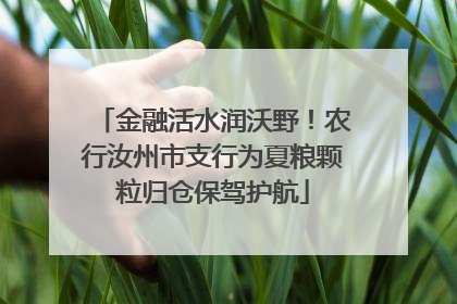 金融活水润沃野！农行汝州市支行为夏粮颗粒归仓保驾护航