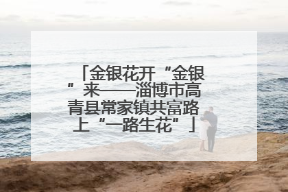 金银花开“金银”来——淄博市高青县常家镇共富路上“一路生花”